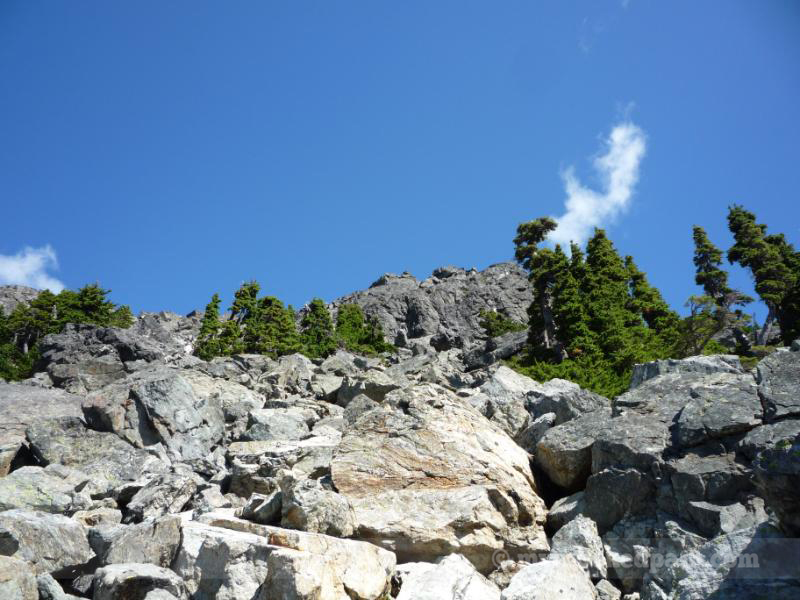 Up, Up, Down, Down, Left, Right, Left, Right, B, A, B, Start