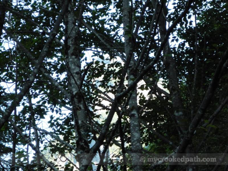 Not even a good view from the parking lot. Pfft. 